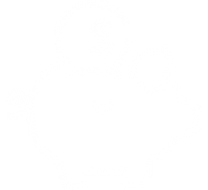 ofertas en alojamientos