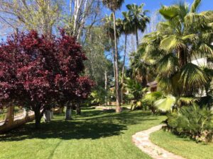 Chalet comuniones Valencia